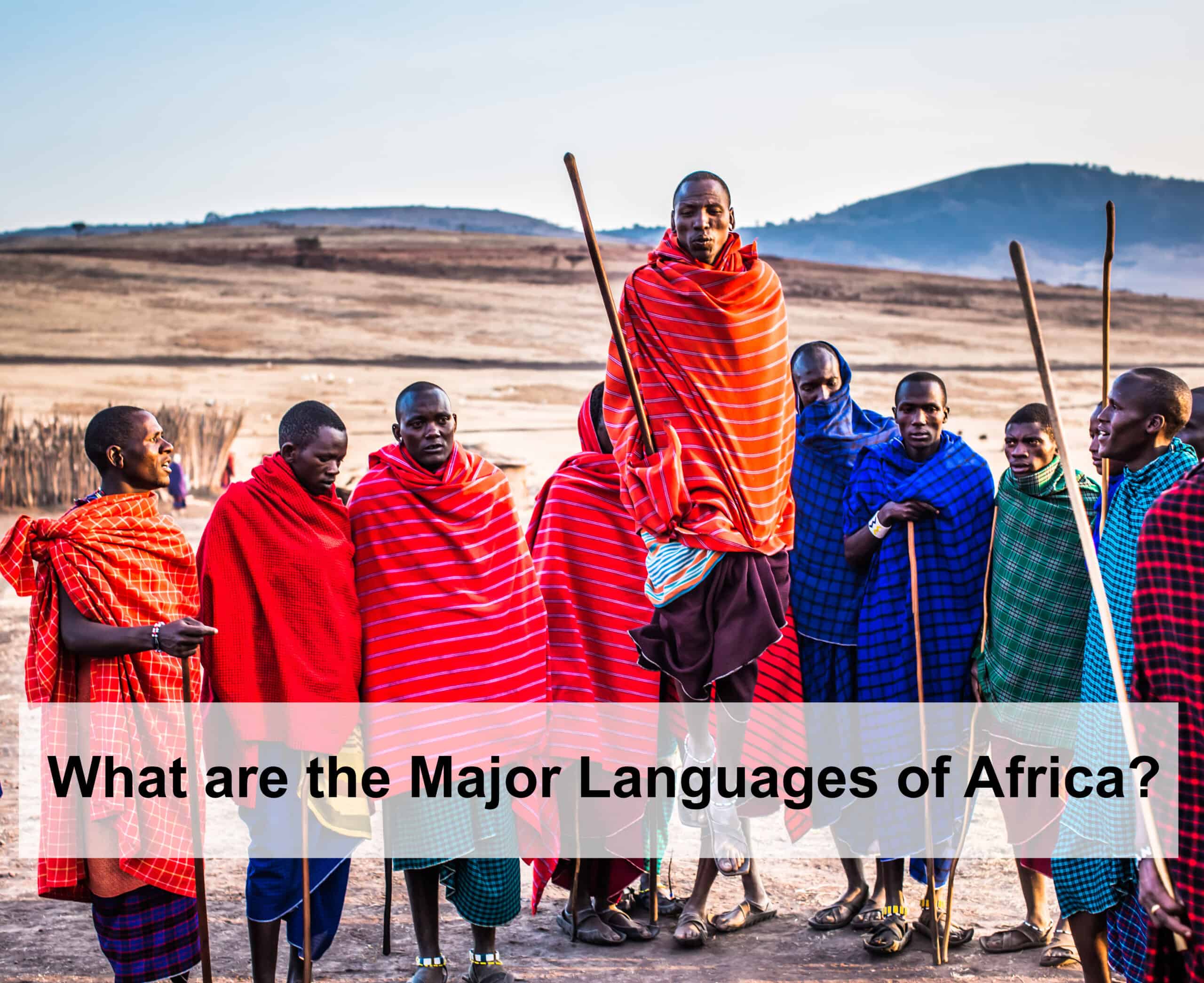 What do you know about African Language