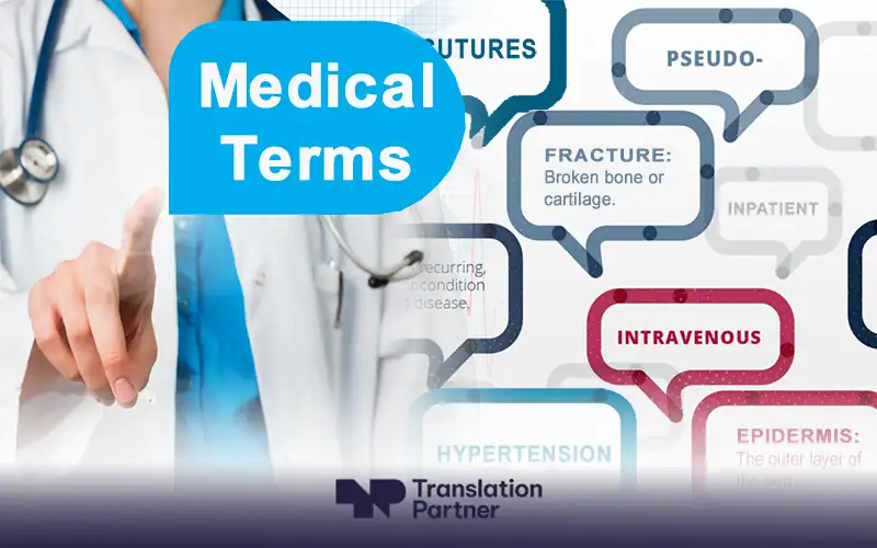 Doctor pointing at blue bubble reading "Medical Terms", surrounded by floating bubbles of medical vocabulary with definitions, Translation Partner logo