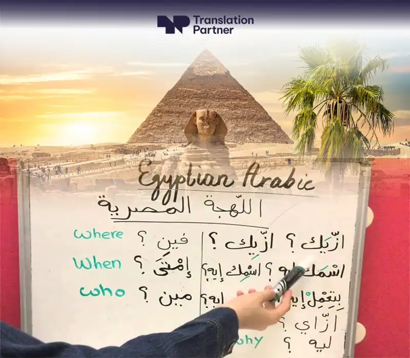 Egyptian Arabic experts from Translation Partner with bilingual text examples.